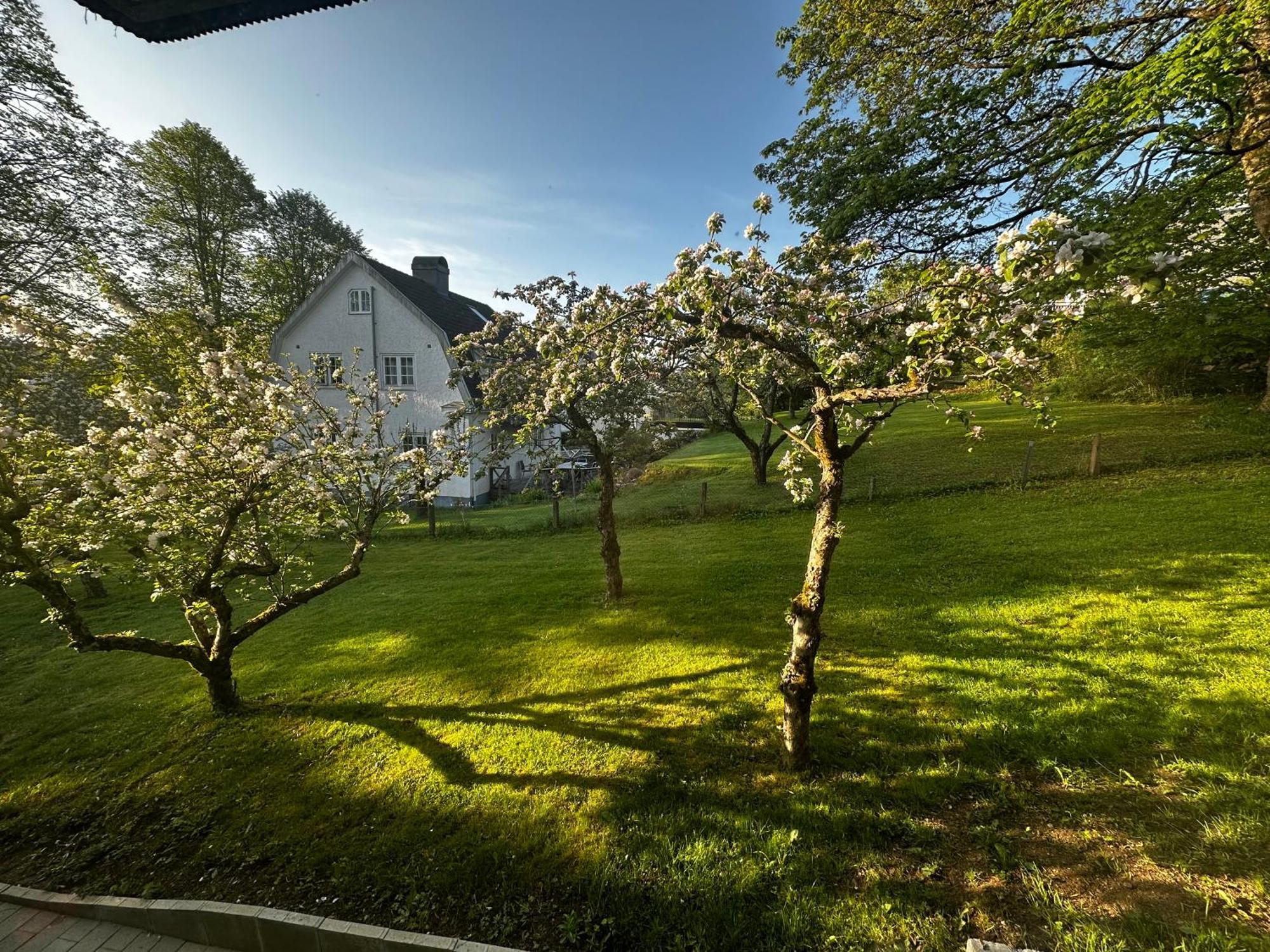 Luxury 2 Rooms Residence At The Heart Of Borås Esterno foto